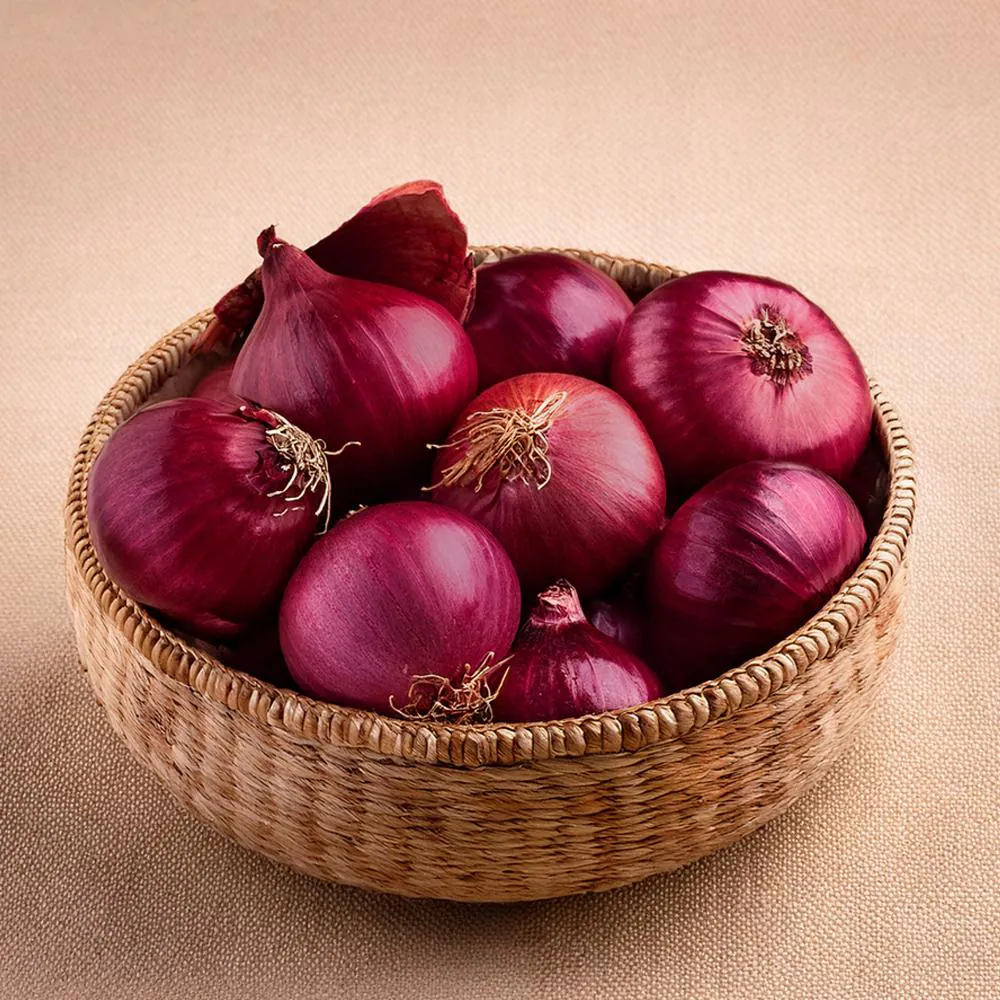 Onion 