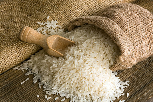 Rice 