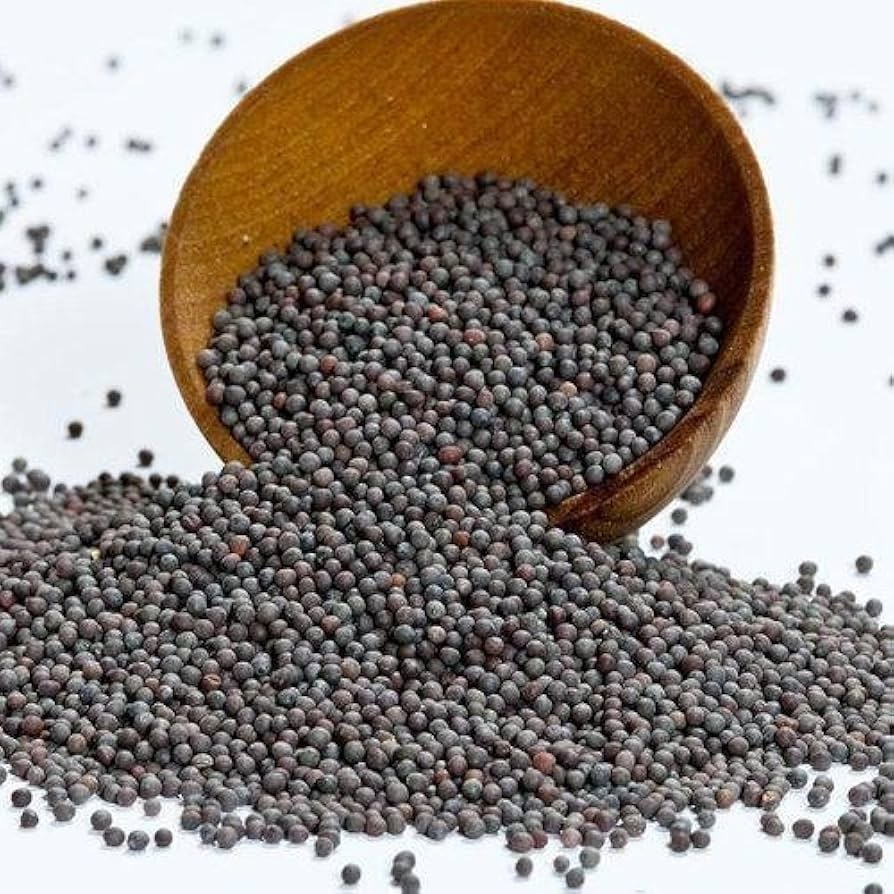 Black mustard 